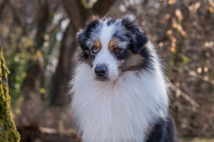 Morris_202