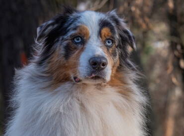 Northbay Xsells Dont Stop Believin’ “Journey”