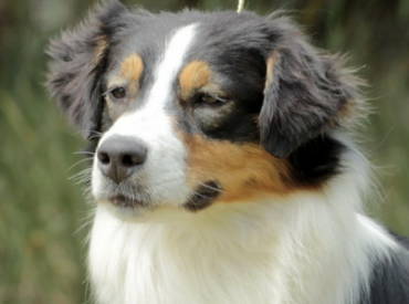 Dailo’s The Future Is Exciting “Amy”