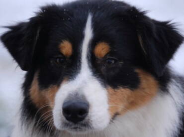 Dalio’s she is Like the Wind “Breezy”