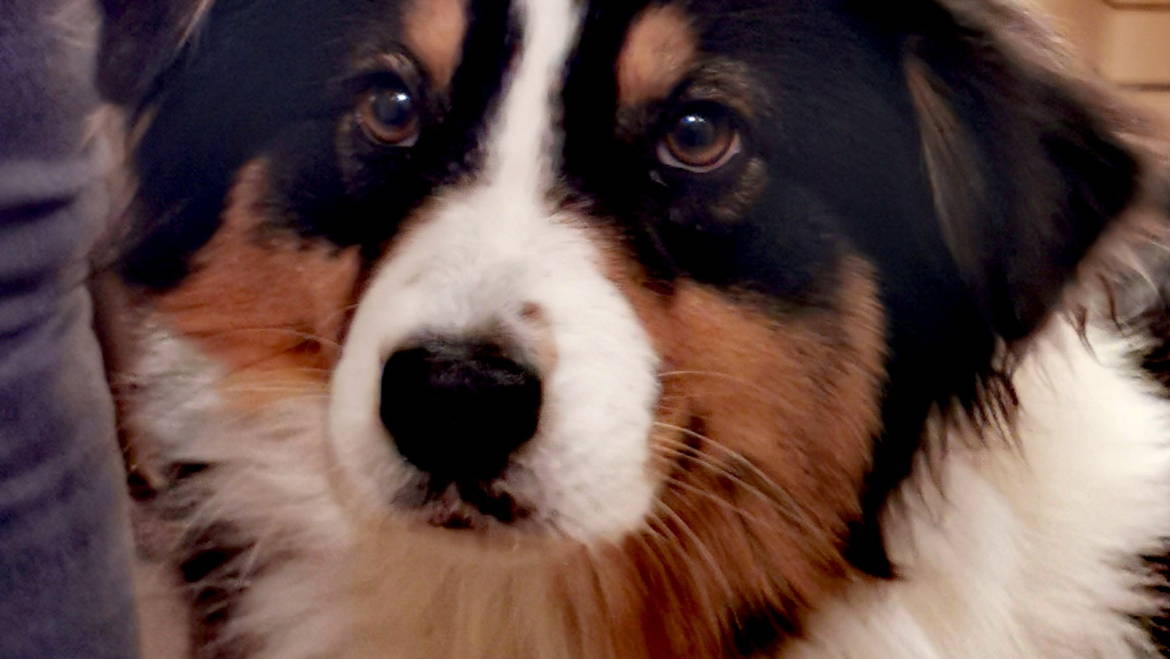 Lightlake Beats And Melody „Joyce”