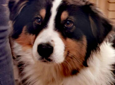 Lightlake Beats And Melody “Joyce”