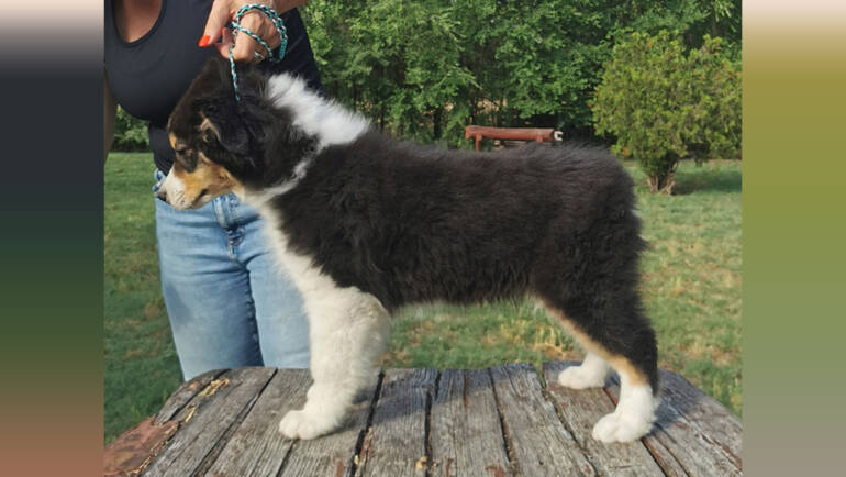 Lightlake Keep It Up – Available