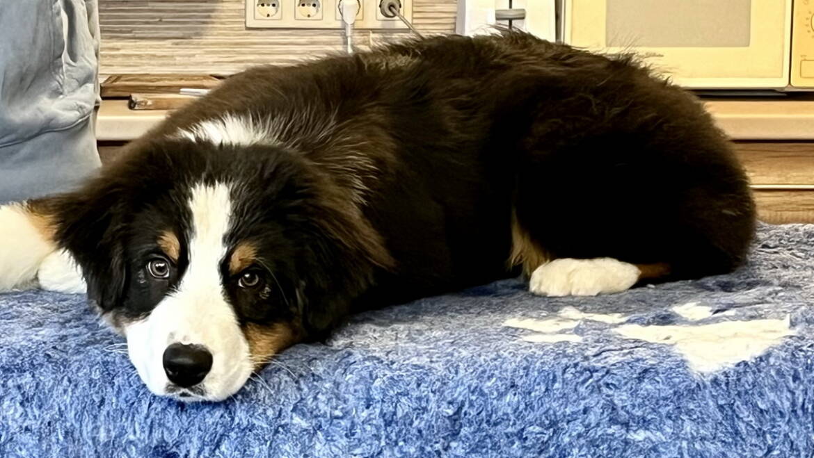 Super cute girl is available