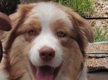 Lightlake Just Simple Unique “Glory”