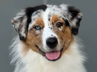 Lightlake Just Be The One “Tokyo”