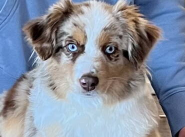 U Are Shining Francis Du Chemin De L’Espoir “Francis”