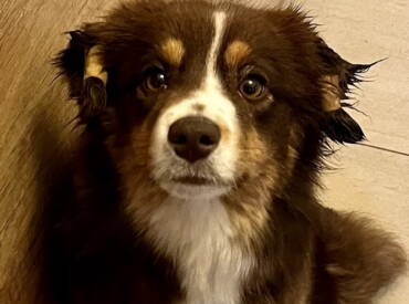 U Make Me Feel Jasmine Du Chemin De L’Espoir “Jasmine”