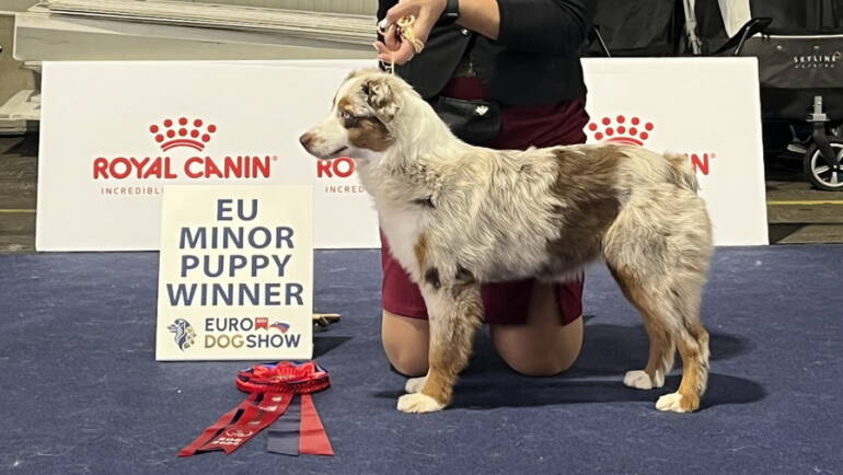 Gina European winner