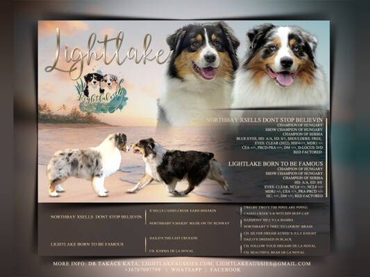 Litter_Q_advert_01