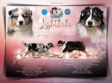 Planned S litter