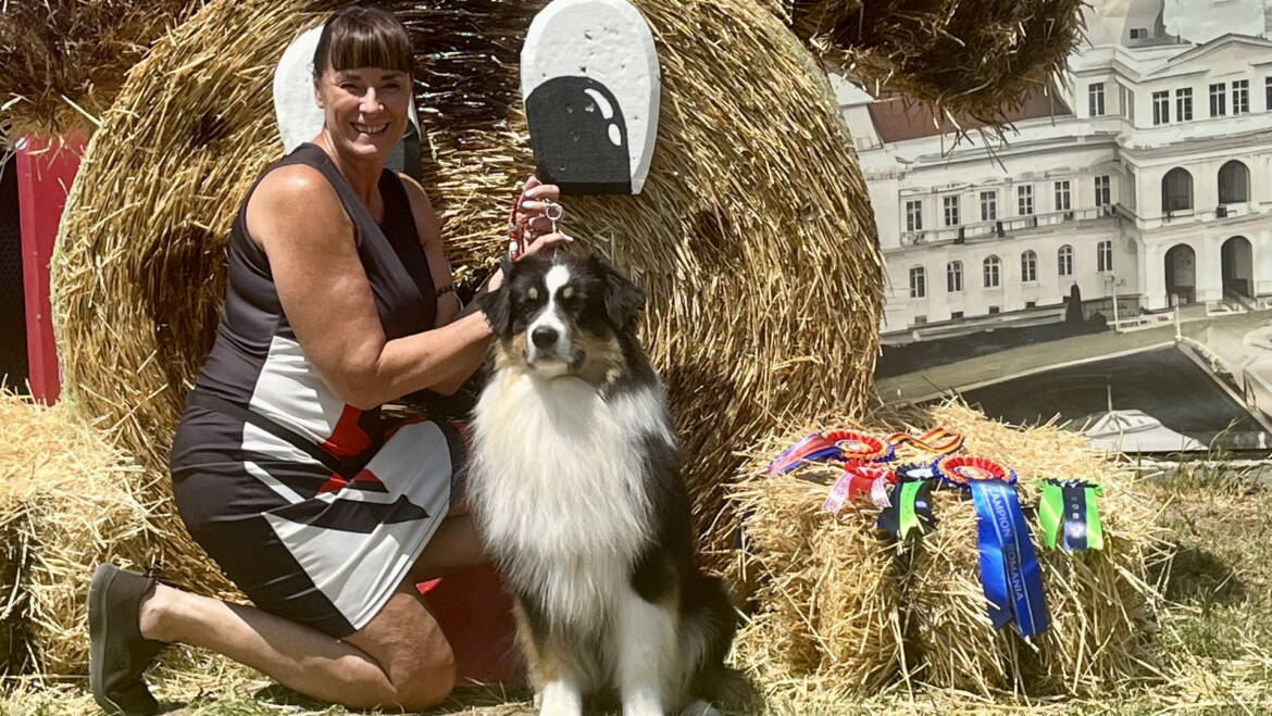 Boston: Champion and Grand Champion title