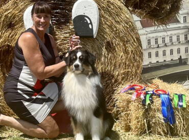 Boston: Champion and Grand Champion title