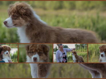 Lightlake The Whole Club’s Lookin’At Her is available