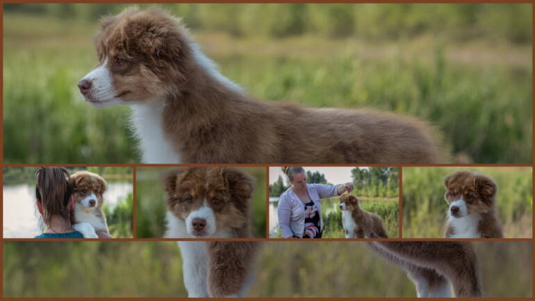 Lightlake The Whole Club’s Lookin’At Her is available