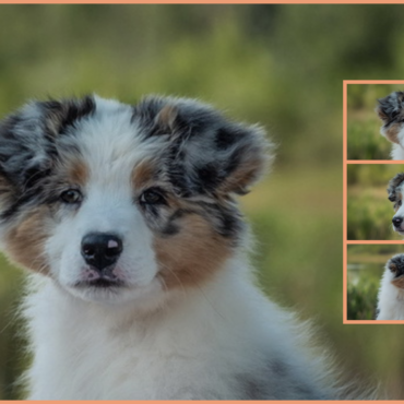 Lightlake True Blue is available