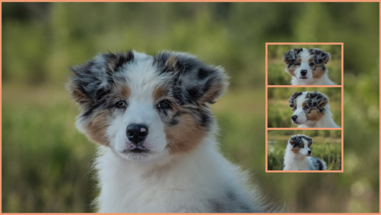 Lightlake True Blue is available