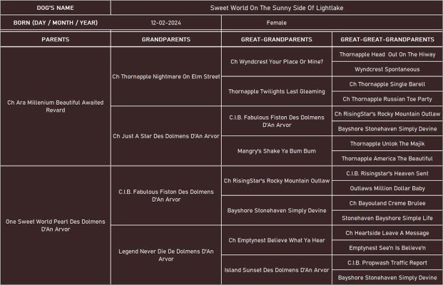 Chelsea_pedigree_100