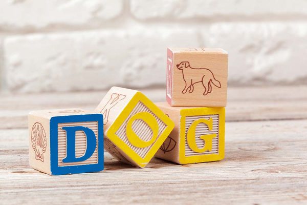 wooden-toy-blocks-with-the-text-dog-2022-01-27-22-27-39-utc